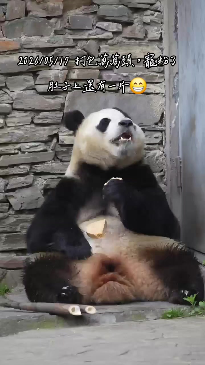 @福寶需要愛的抱抱