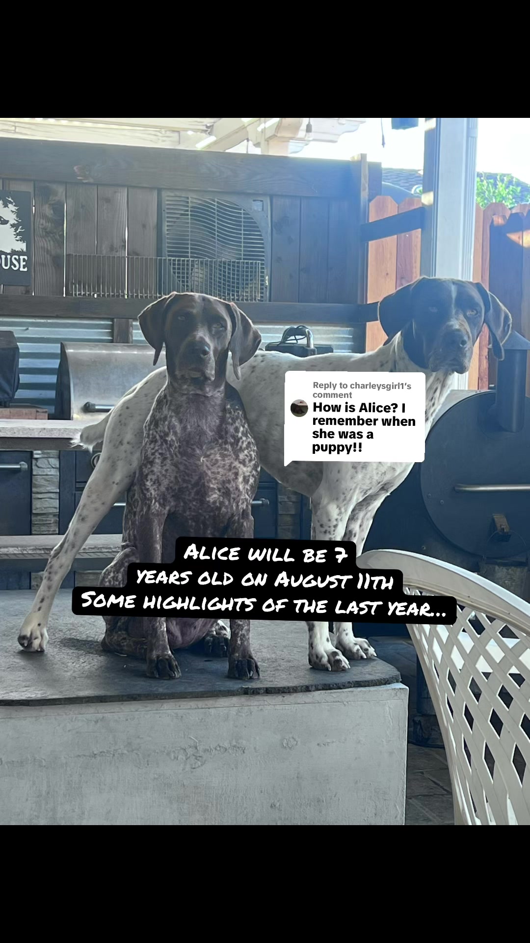 @alice_the_gsp