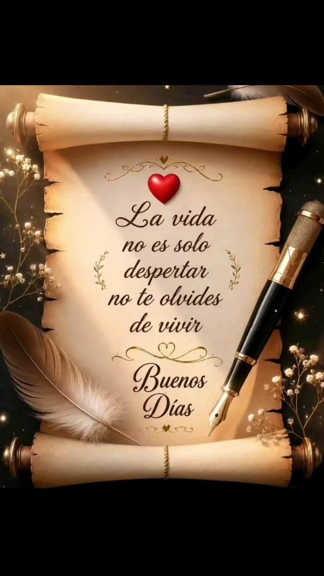 @Lysy