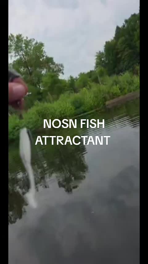 @3dprintedlures FWC