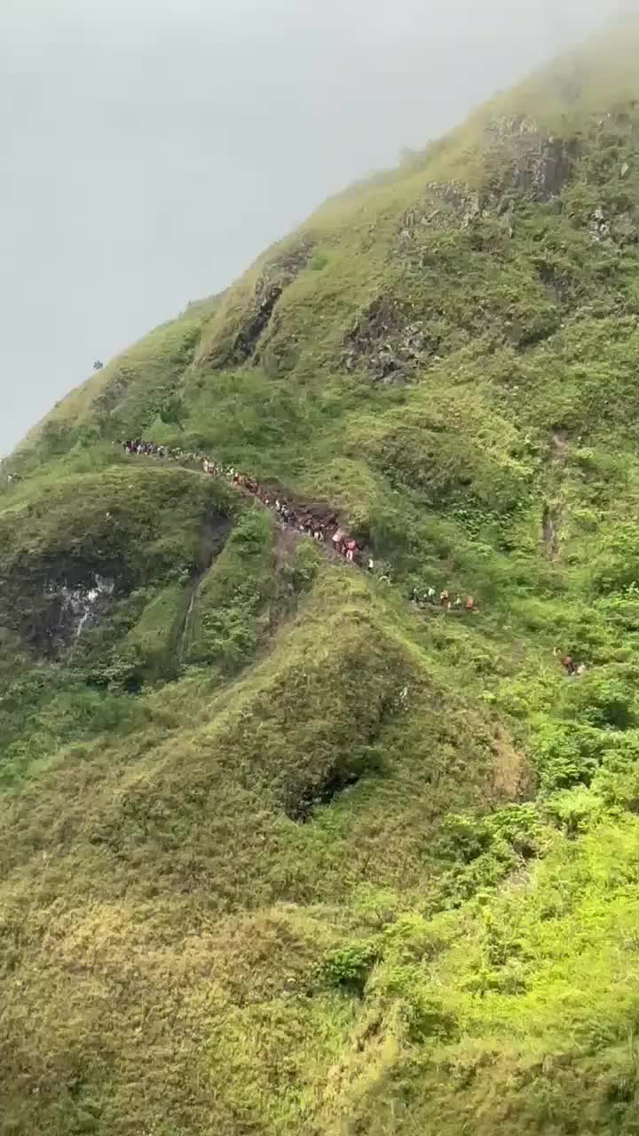 @samidi