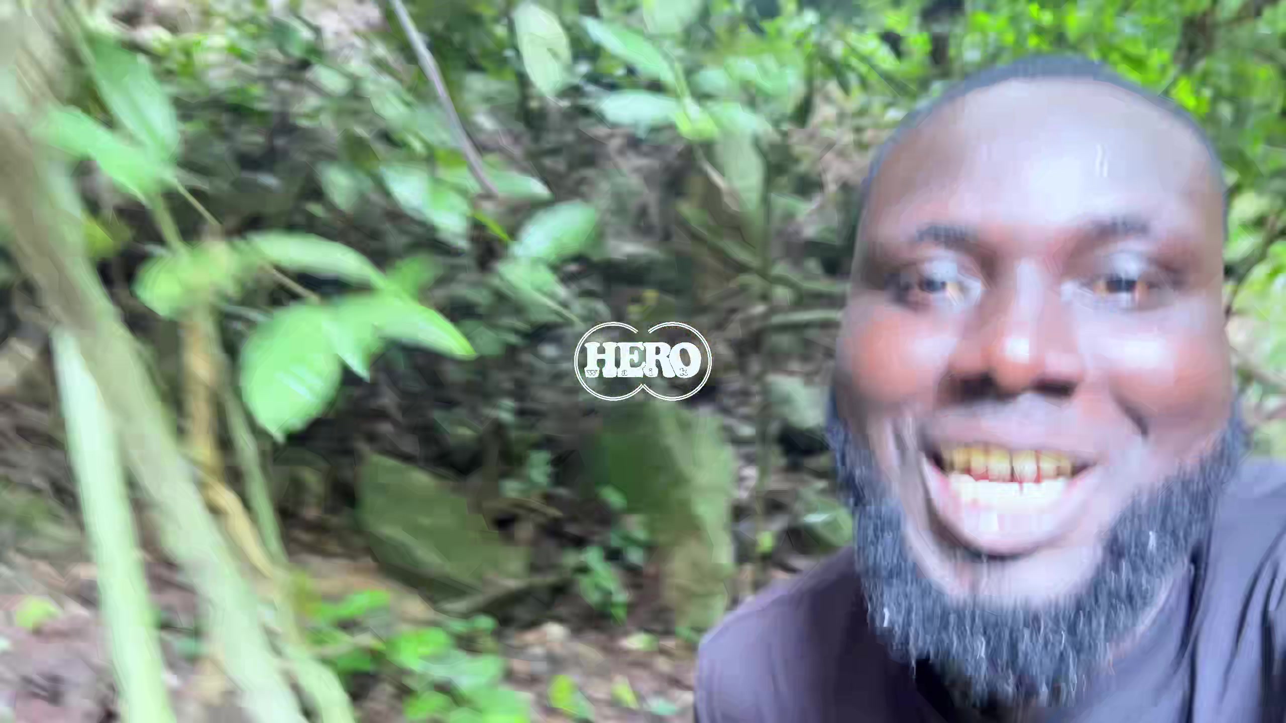 @Hero Waik