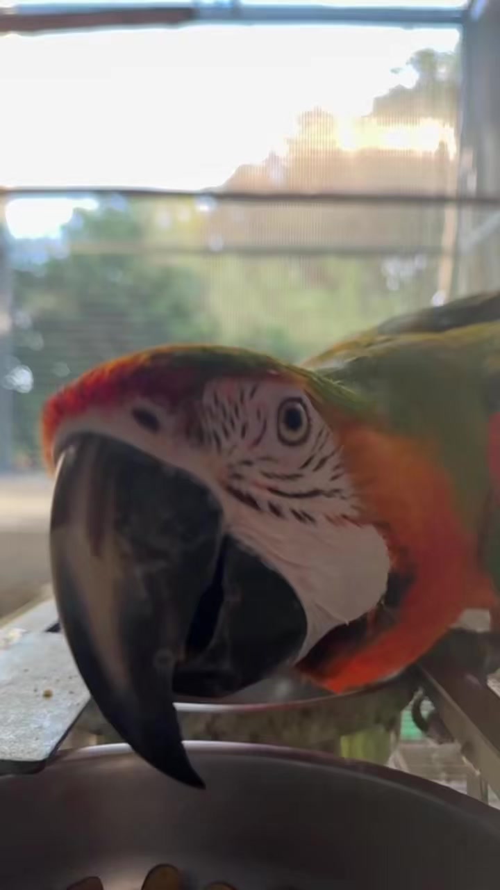 @WelovepetsbyPamornchaiSupply