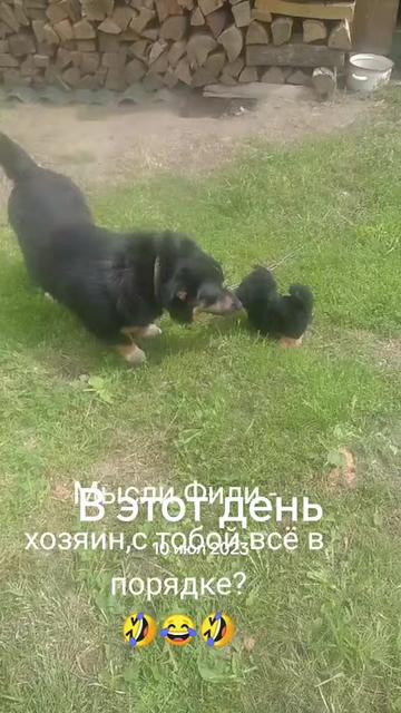 @Александр