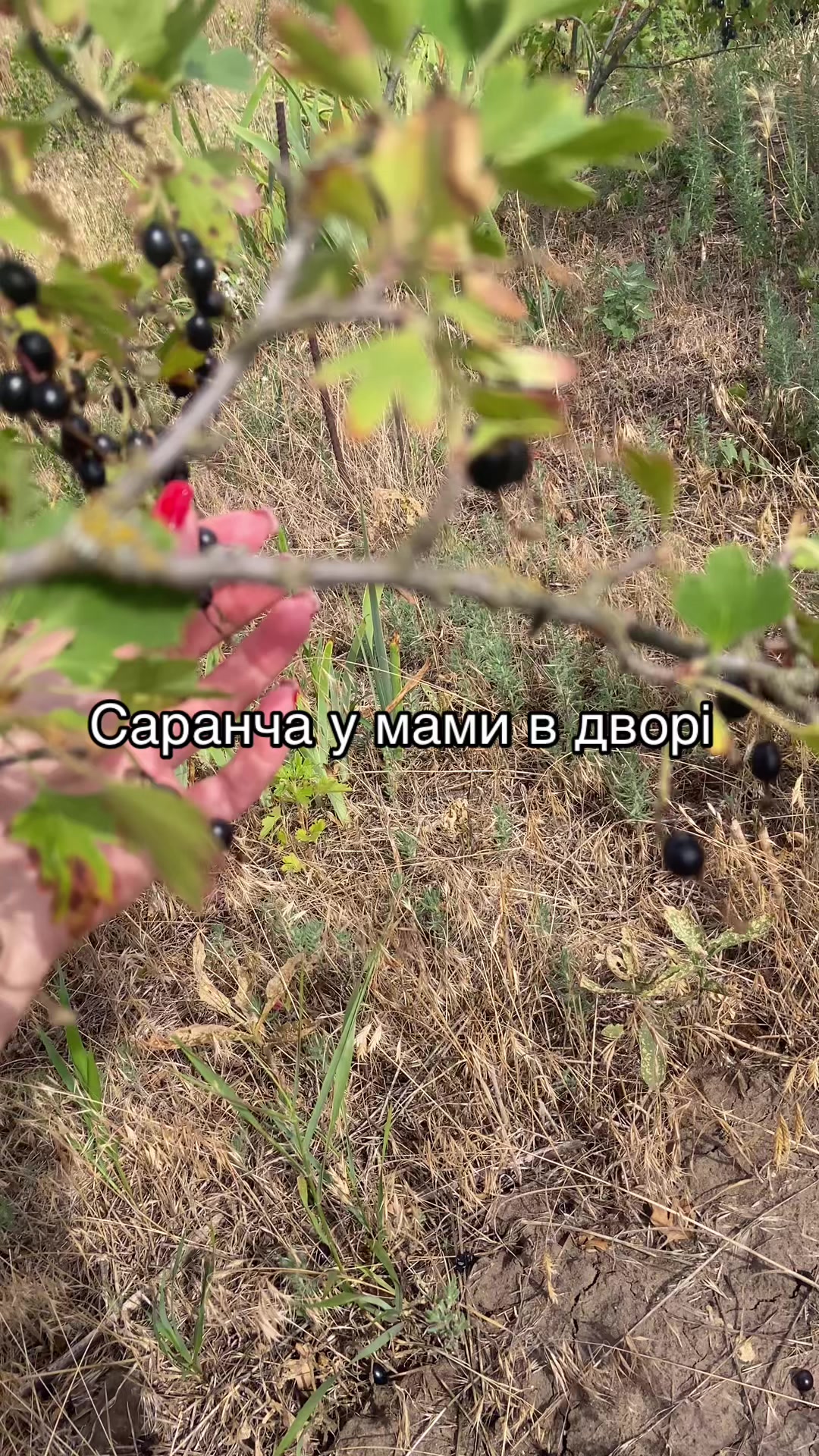 @Катеринка 🇺🇦