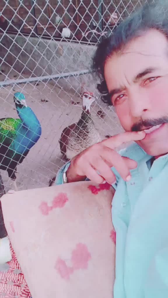 @Altaf Hussain