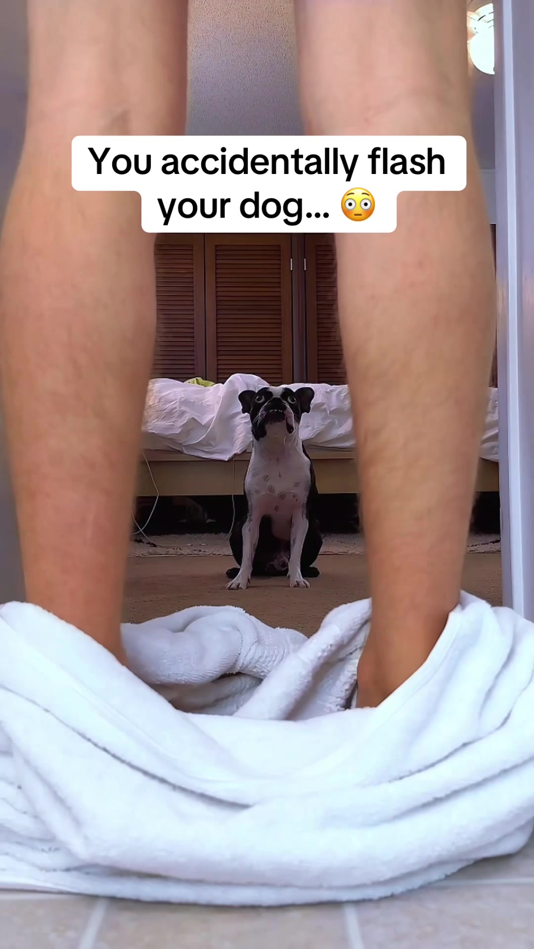 @WhenAshMetBowser