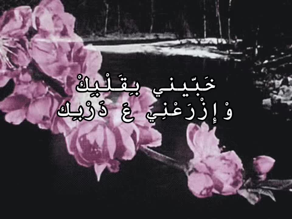 @🍥