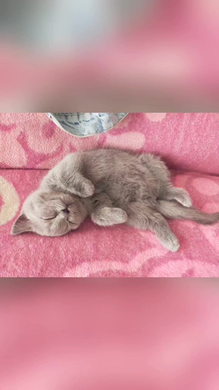 @Nurgül