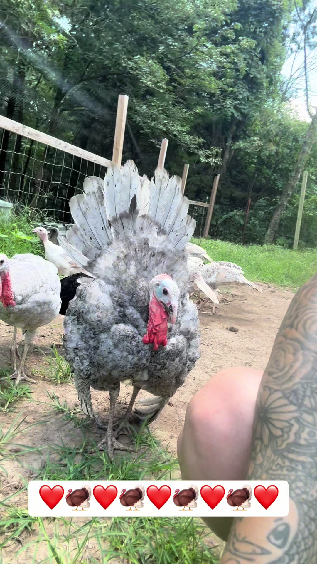 @merrickfarmstead