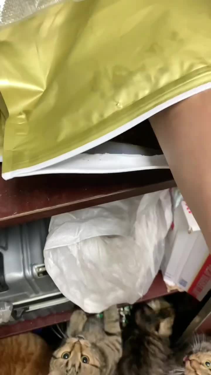 @ariatk