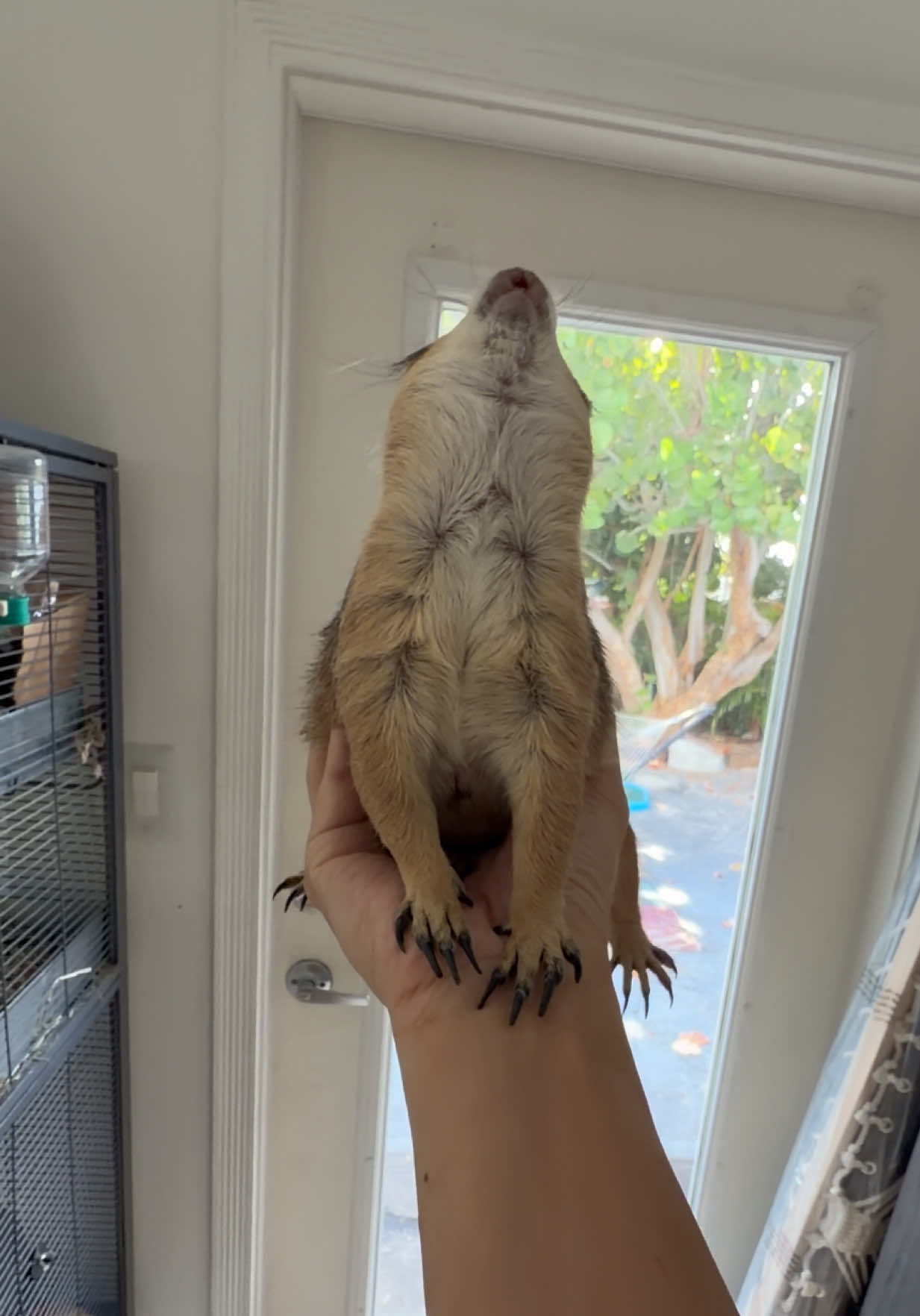 @Poppy the Prairie Dog