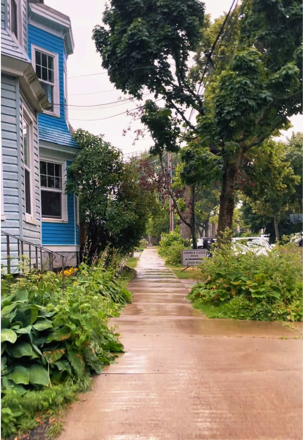 @Calm Soft Rain Audio