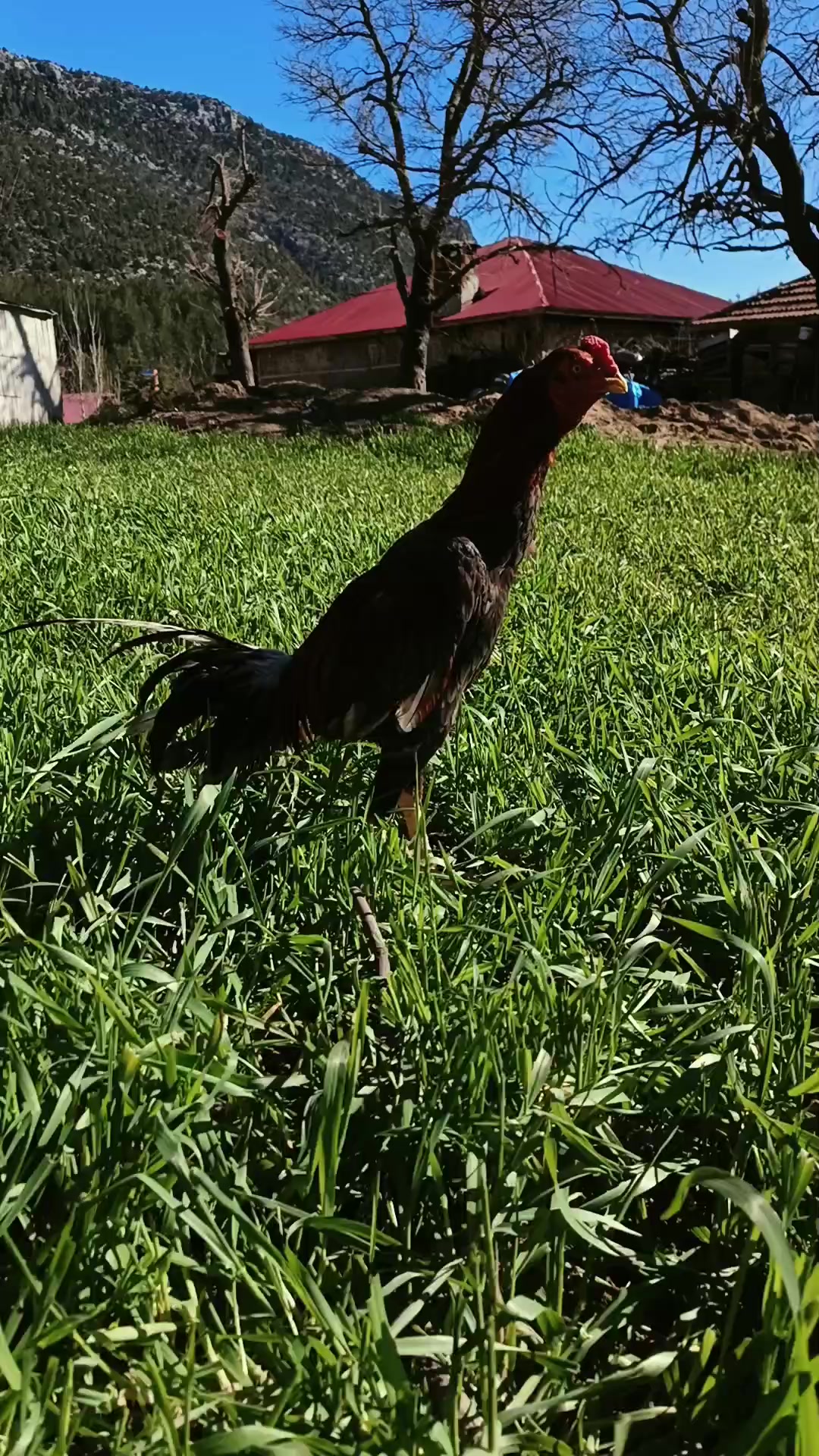 @H&uuml;seyin _t&uuml;fekli 🦅