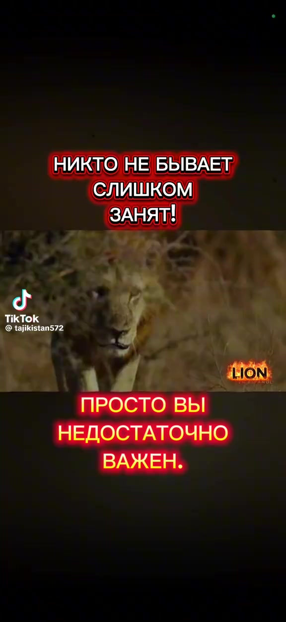 @༼ つ ◕_◕ ༽つ🇧🇾😈🅚🅞🅣🅘🅚🇧🇾