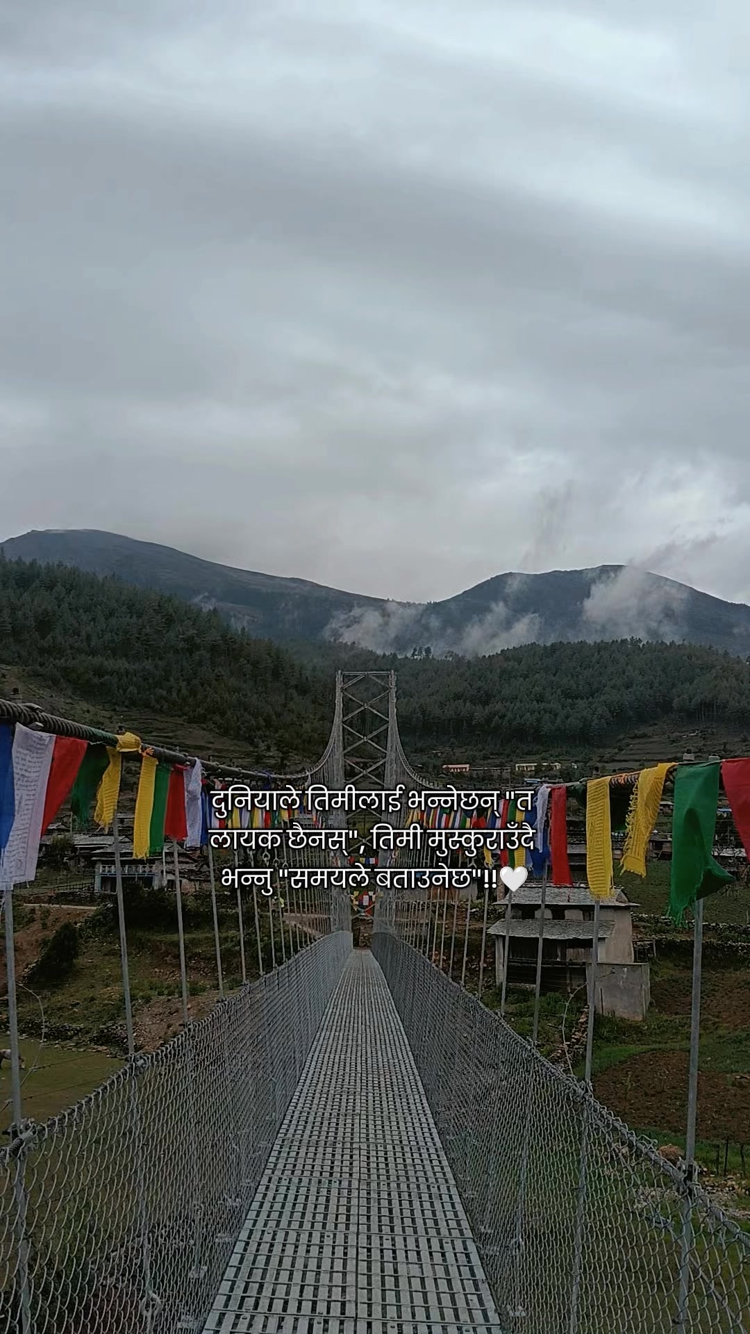 @Shayari Vibes