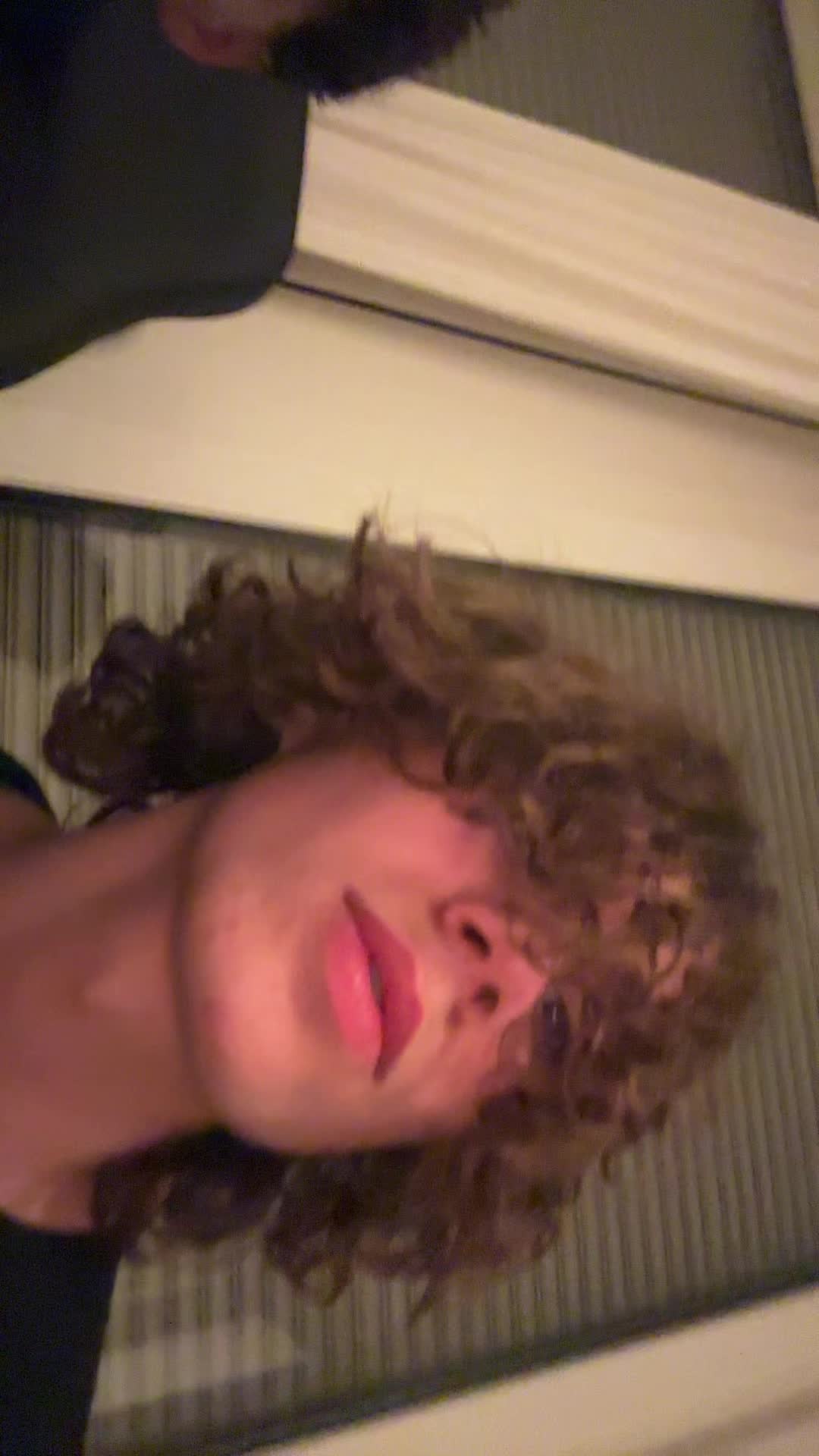 @hellste cats