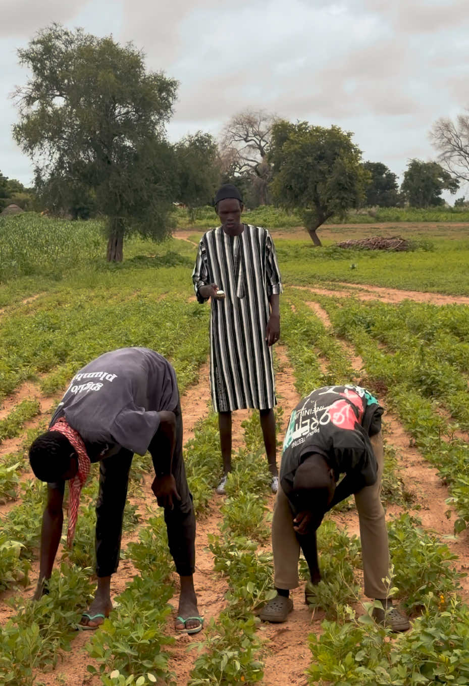 @Modou.com&eacute;dien