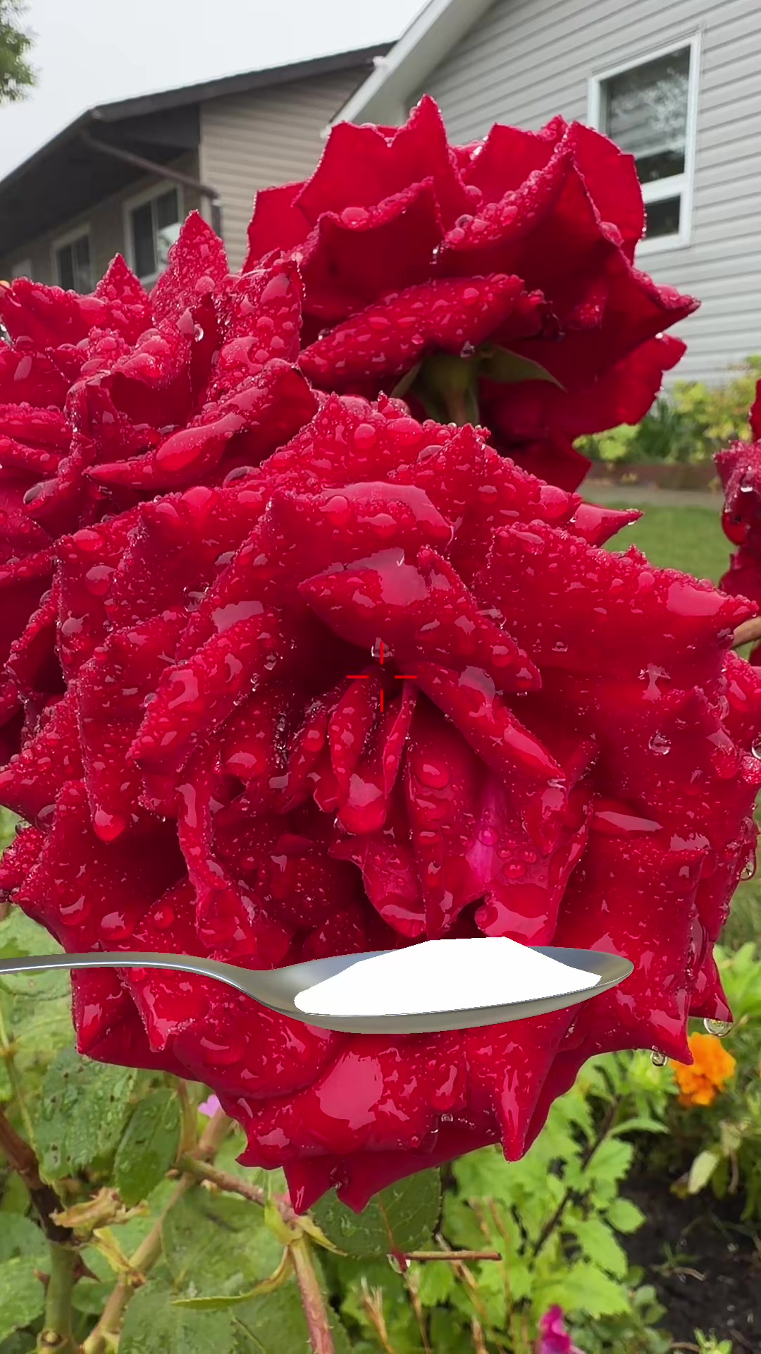 @deep 777