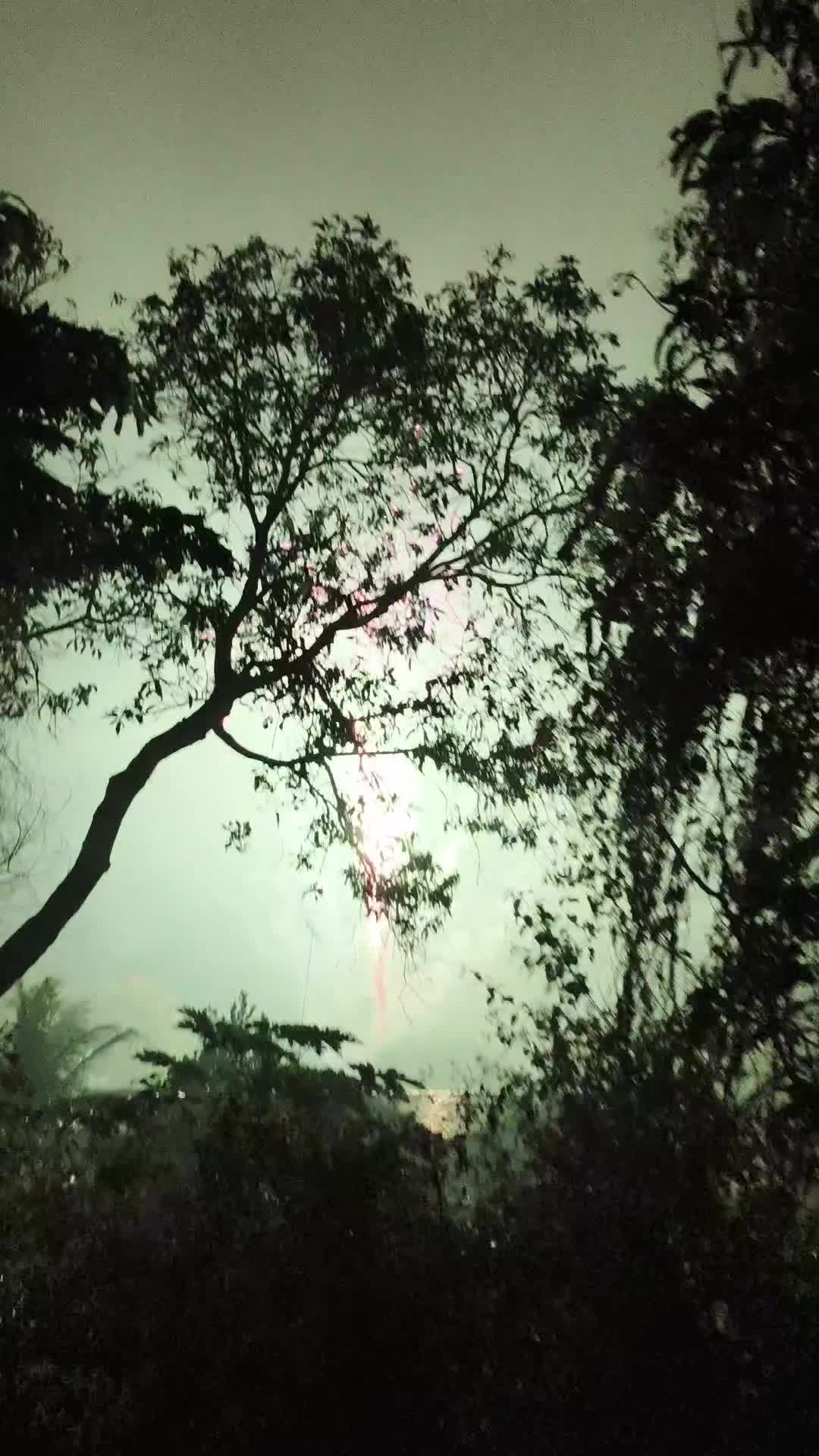 @J A N I ⁵⁶