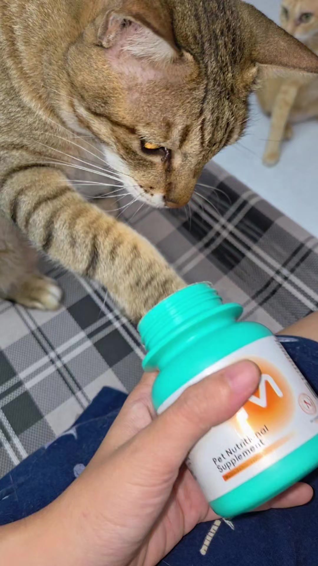 @Khế thúi