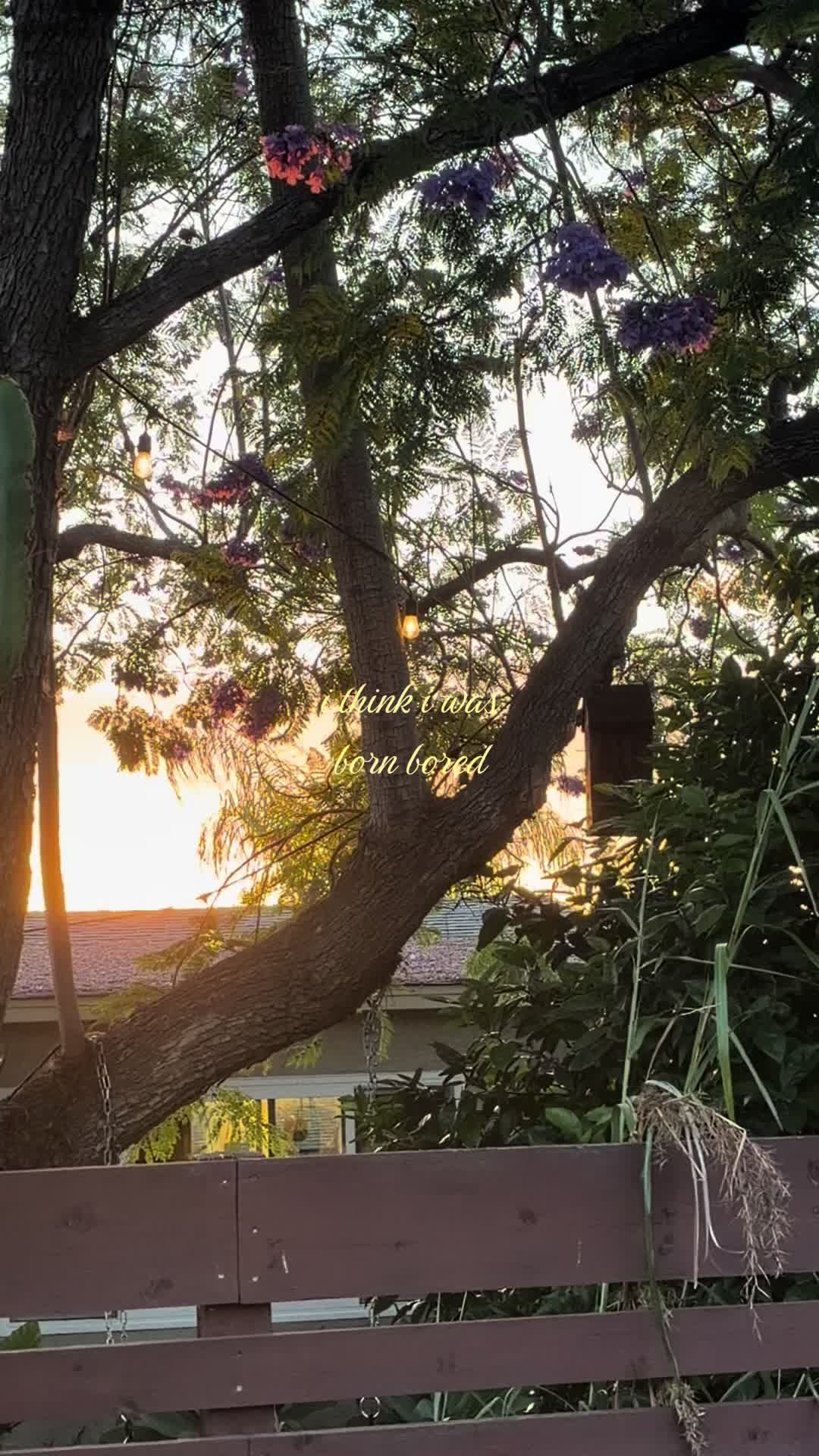 @☘︎