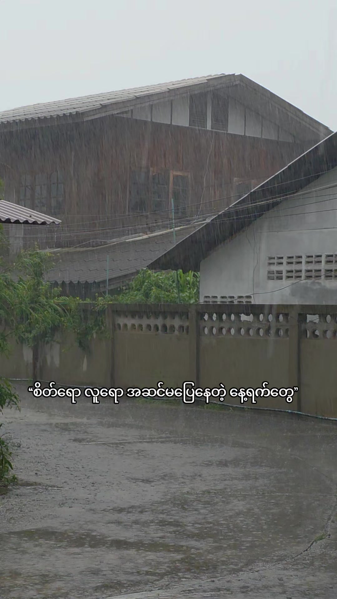 @๐๐ค ๐ฝ๐๐ผ ๐