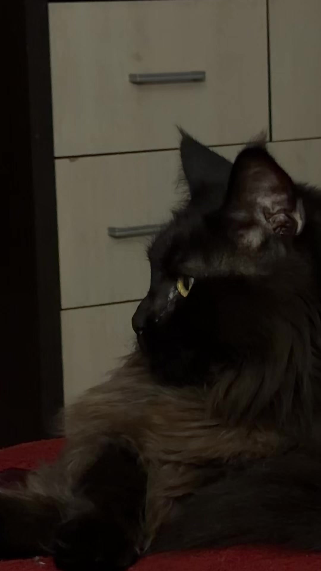 @Лёлик