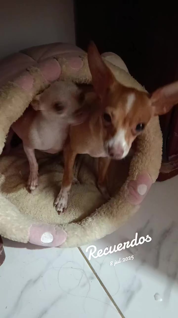 @made.vpc