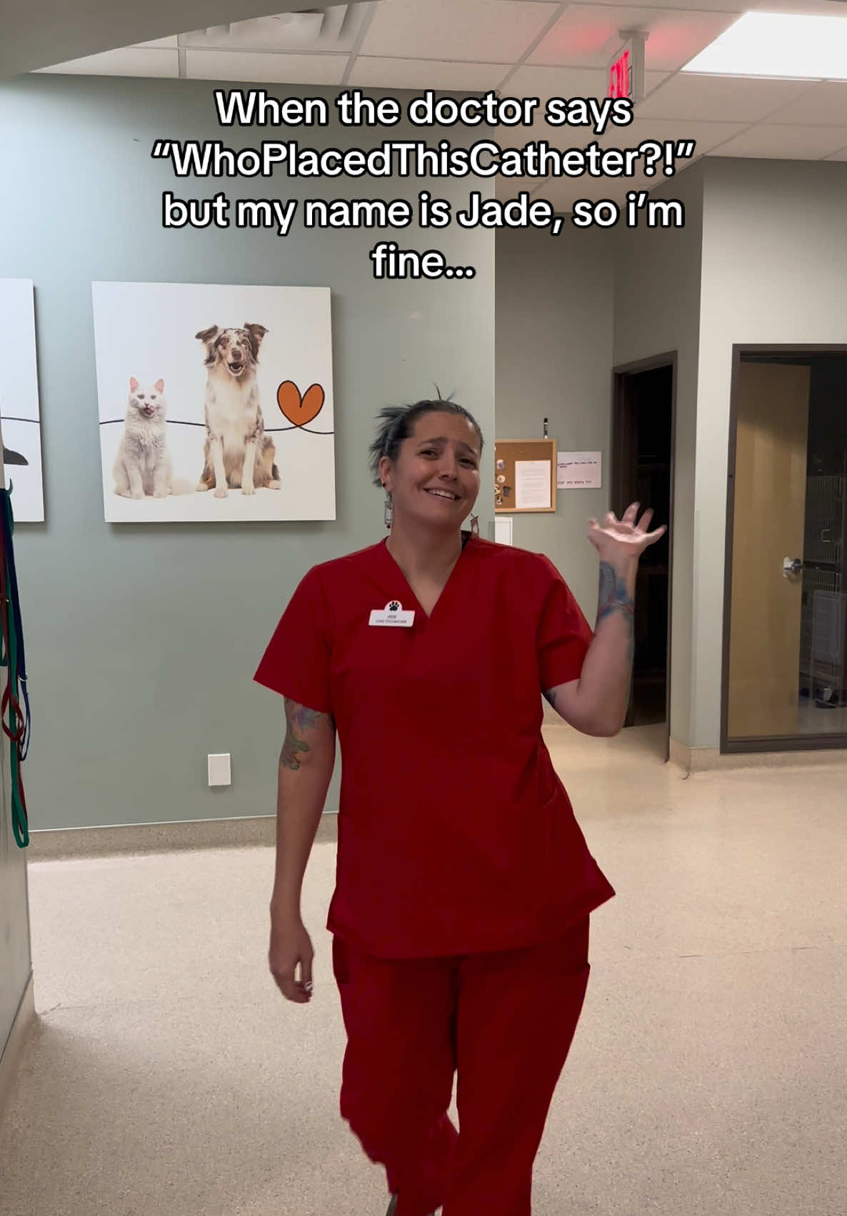 @Dreaming Summit Animal Hosp