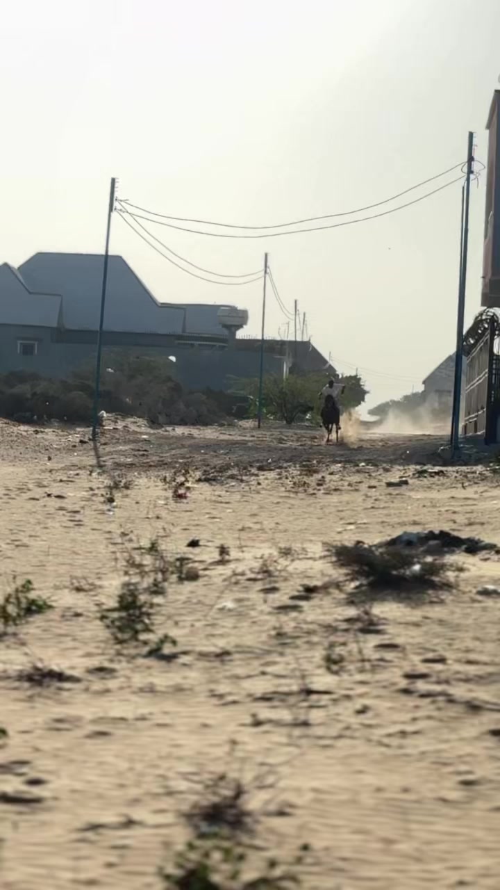 @Duliyaha🐎diyaradadhulka🇸🇴🐎