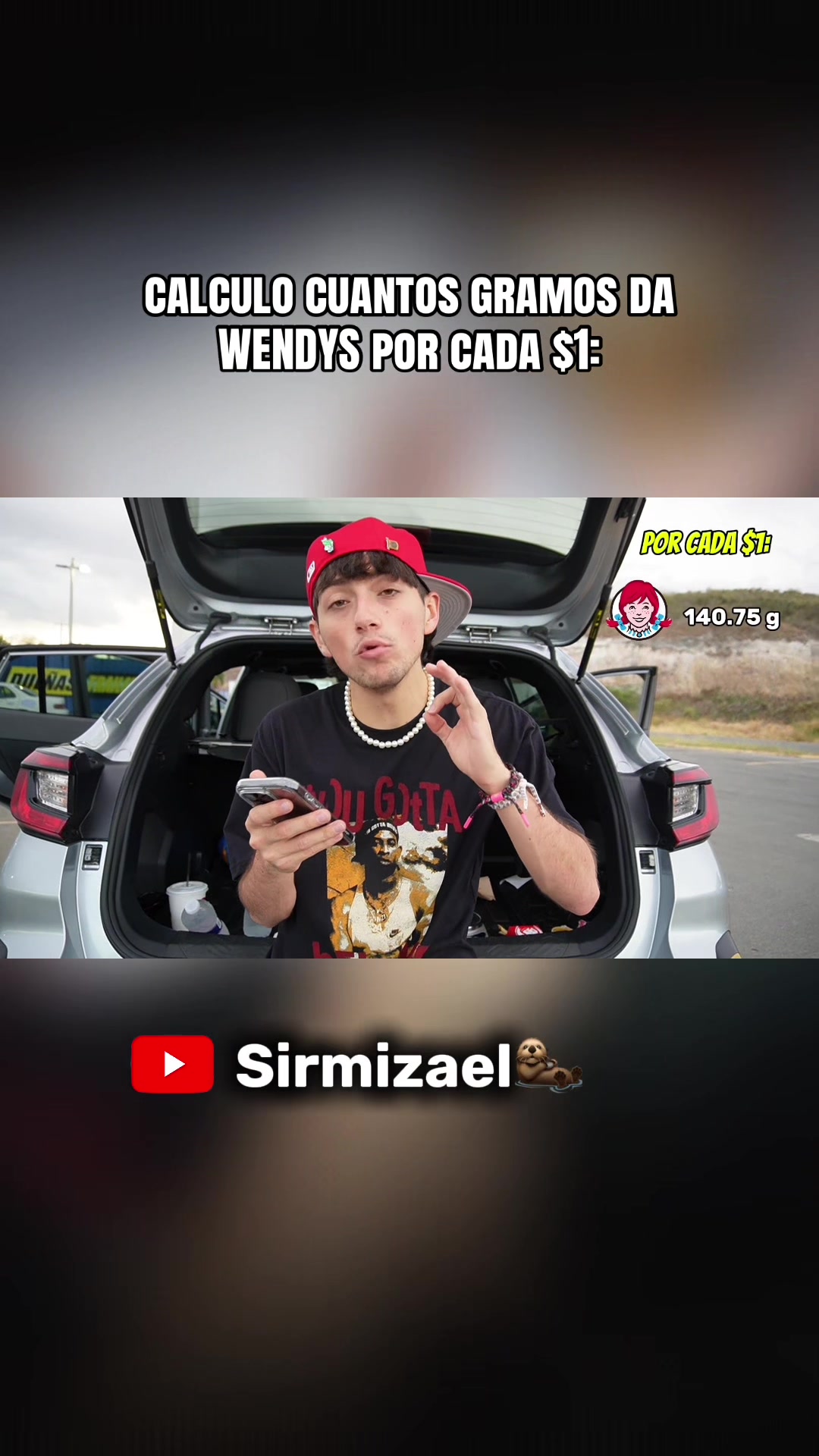 @sirmizael