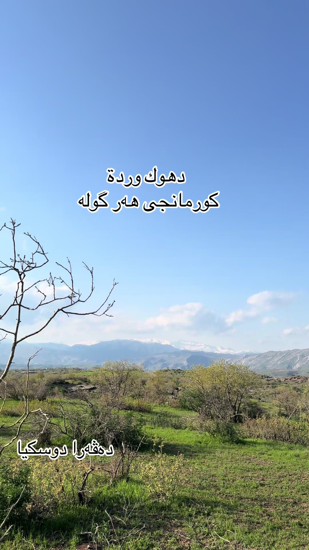 @Zaid Brifkani MDزيد بريفكاني