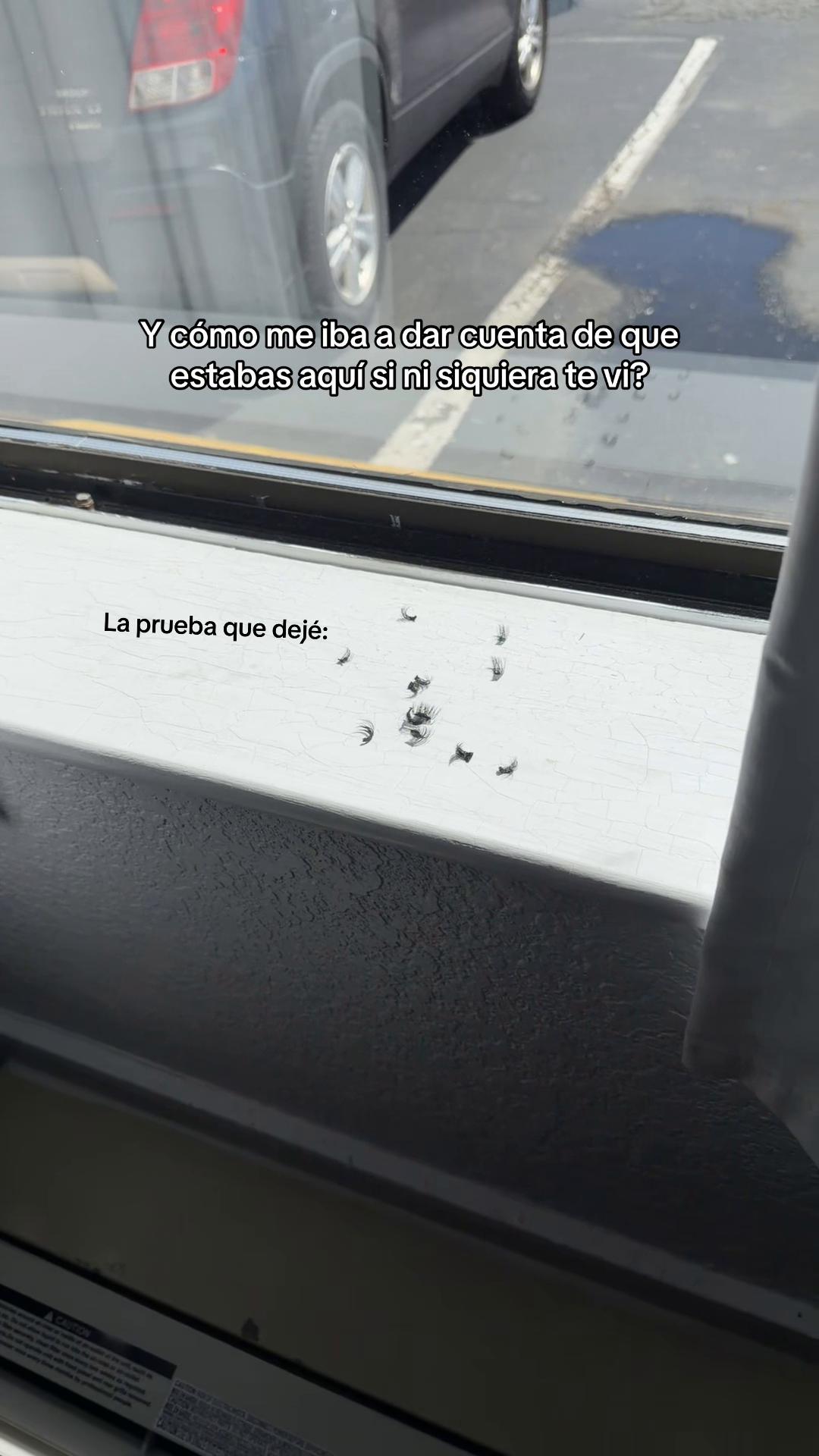 @scaiilynᥫ᭡