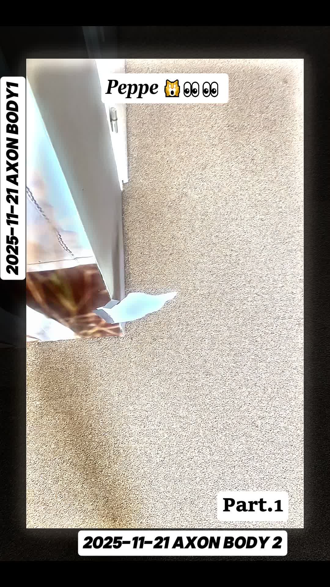 @raider_jl