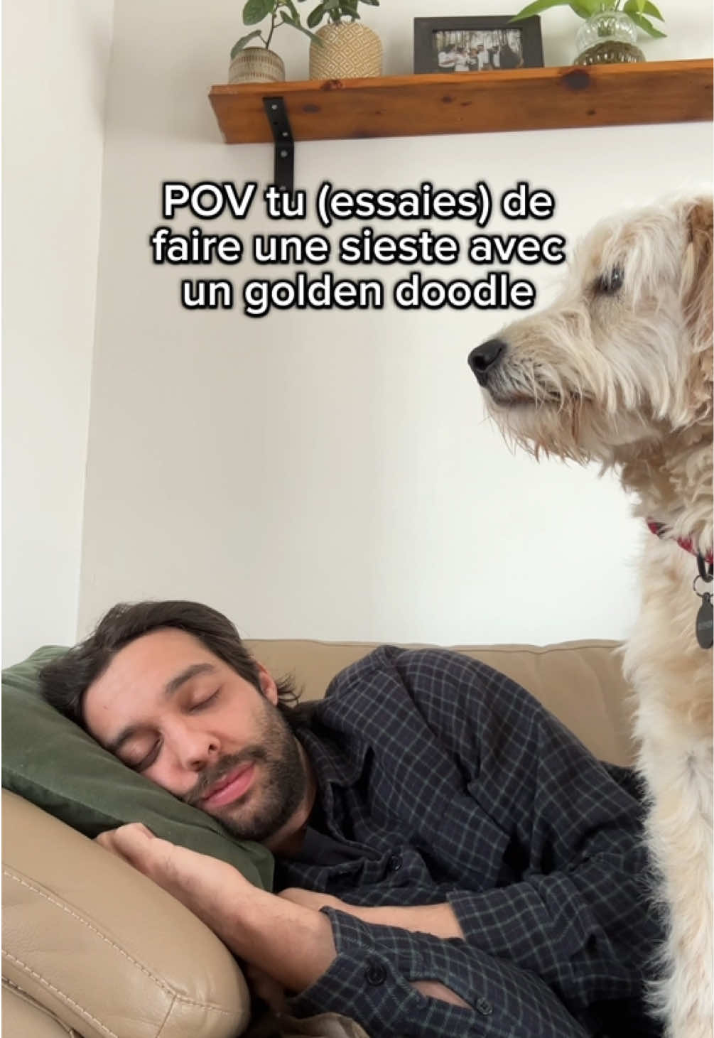 @Francis Legendre