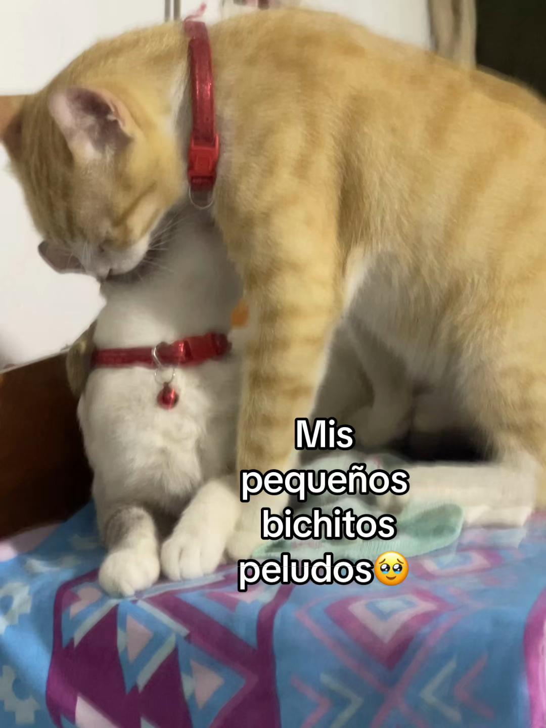 @Vicky💘