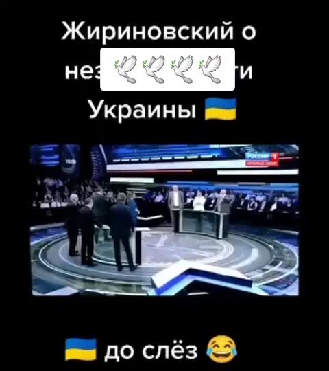 @Steikatas1