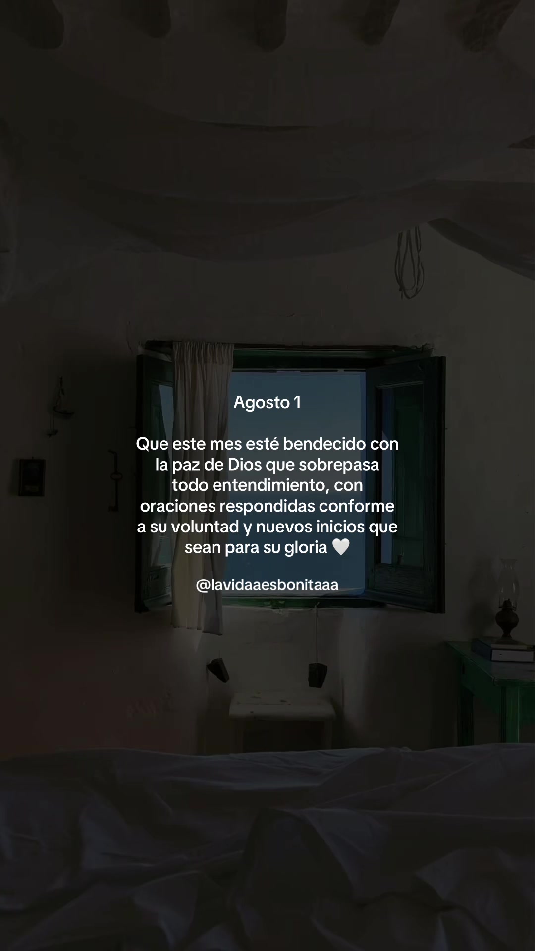 @vidabonita❤️🩹