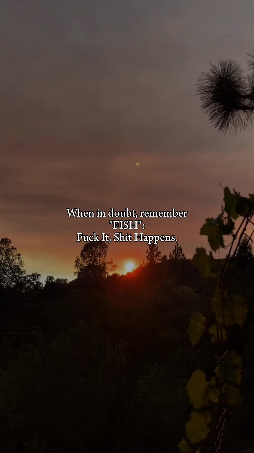 @ᴄʜᴀꜱɪɴɢ🥾ꜱɪᴇʀʀᴀ🥾ᴡᴀᴛᴇʀꜰᴀʟʟꜱ🏞️