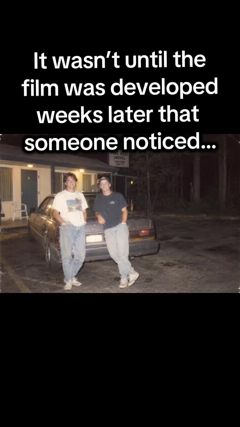 @projectnonhuman