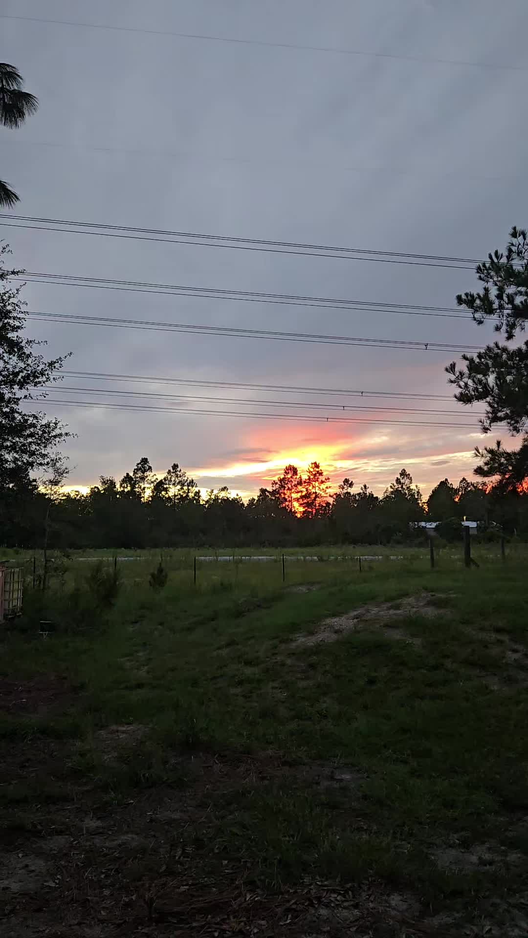 @Fldeerhunter93#2
