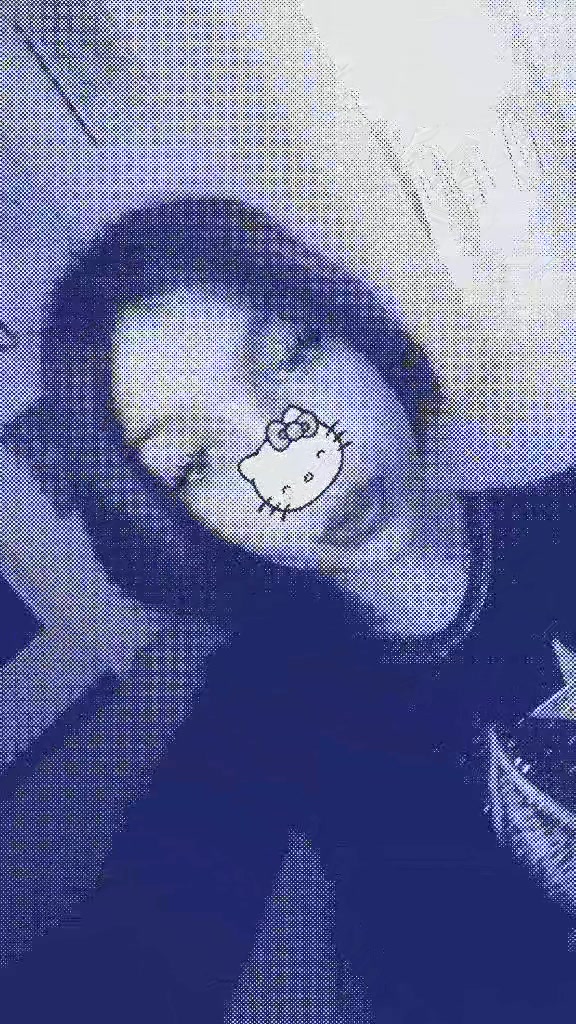 @anasinanovic8