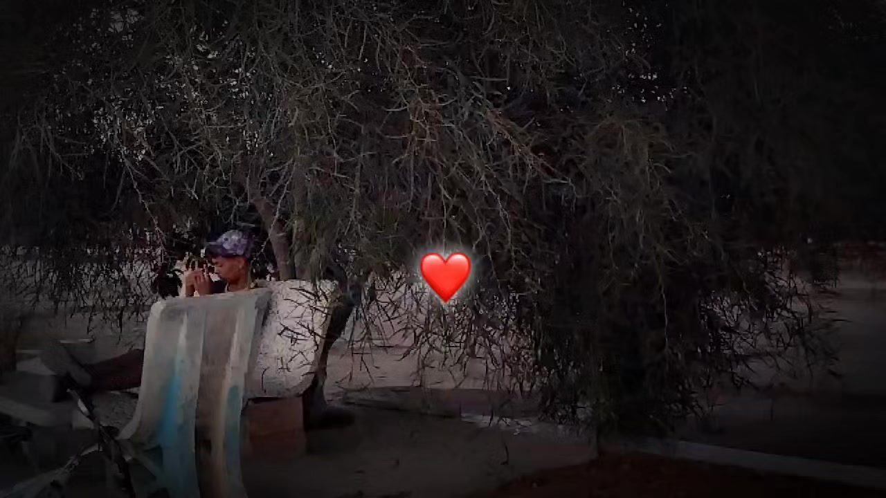 @𝑩𝒐𝒃𝒂🦁🇫🇷❤