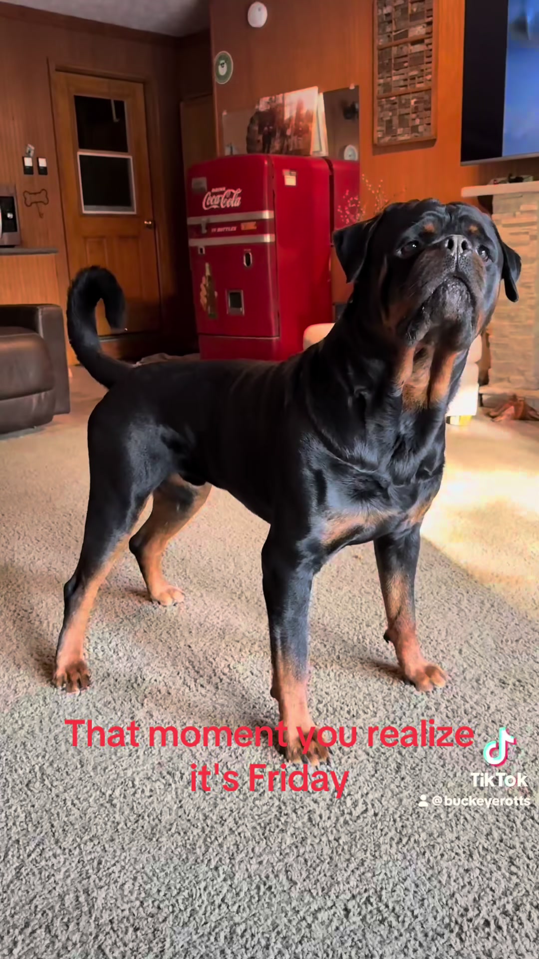 @Buckeyerotts