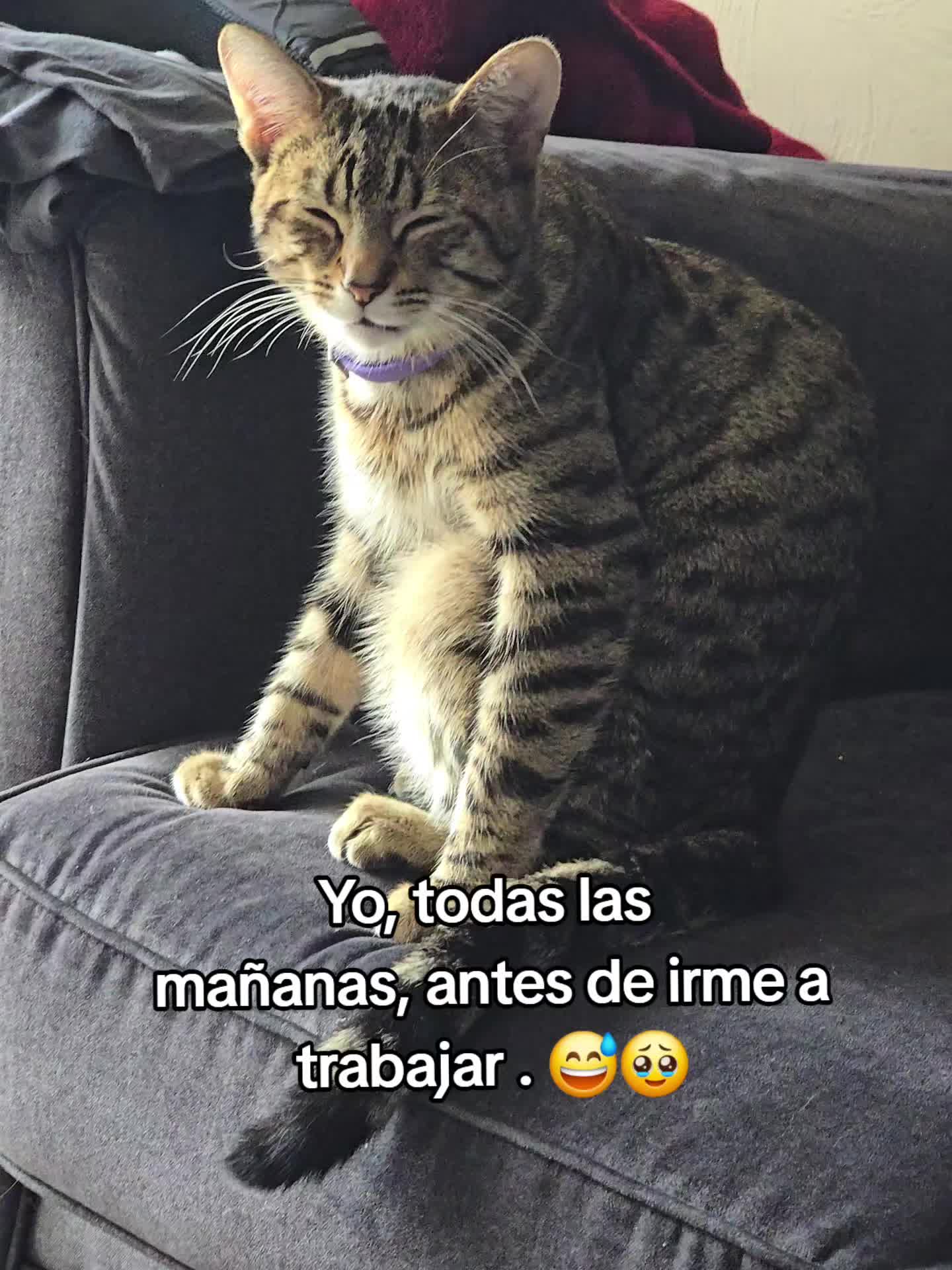 @Jose Roberto