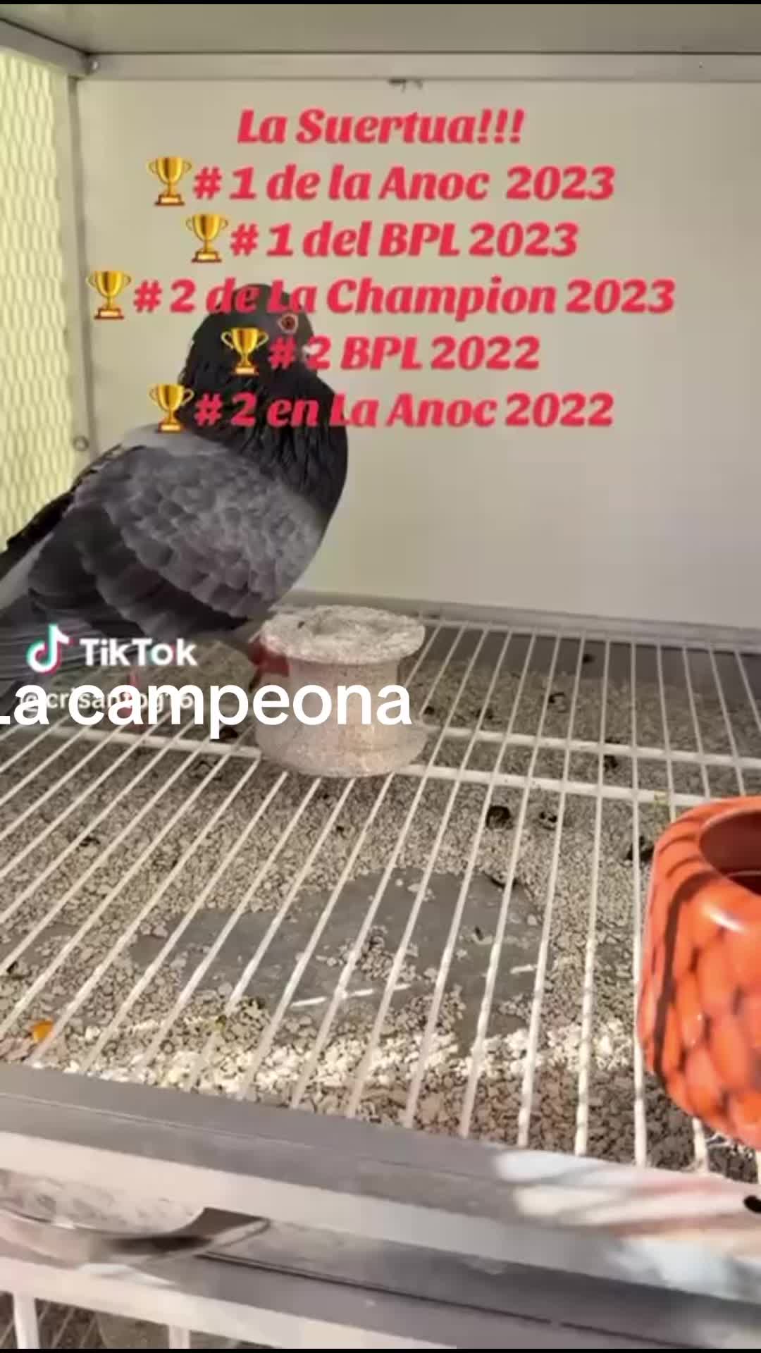 @Julio Emilio Mendez