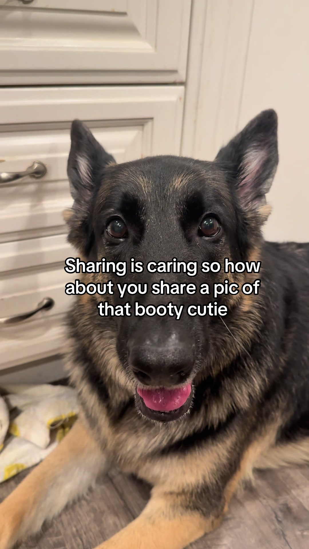 @Bhris