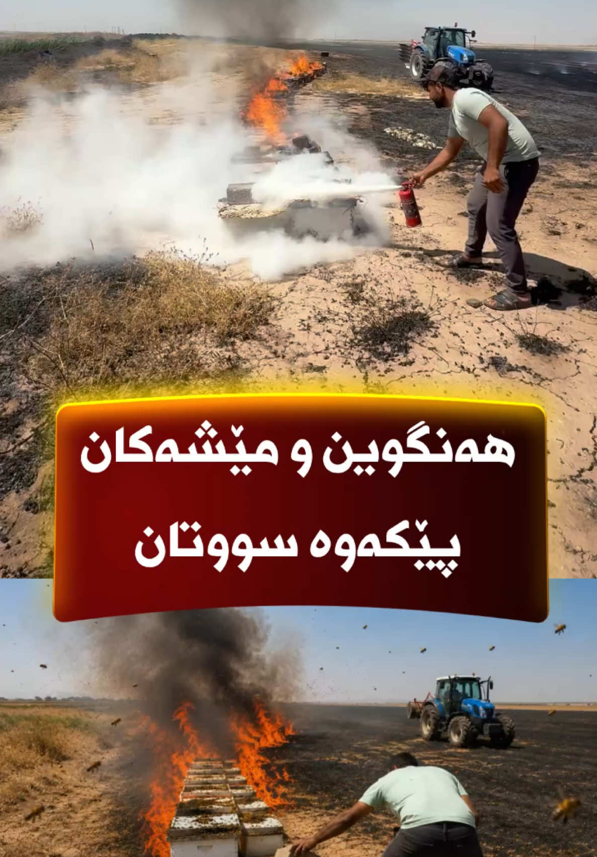 @🎤📺 𓆩جیگر هەركی𓆪 Journalist