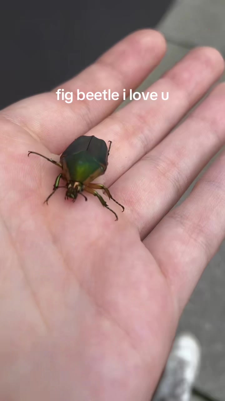 @doofusdiaries